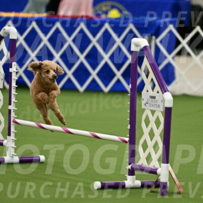 MAS-EX-JWW-12-Inch_1003