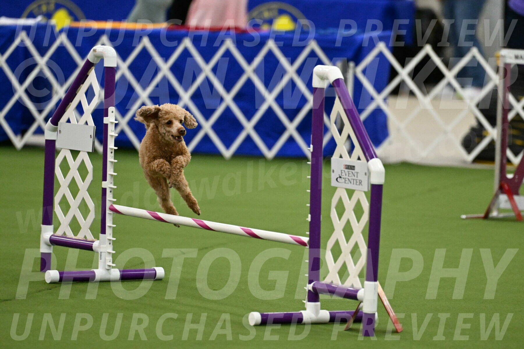 MAS-EX-JWW-12-Inch_1003