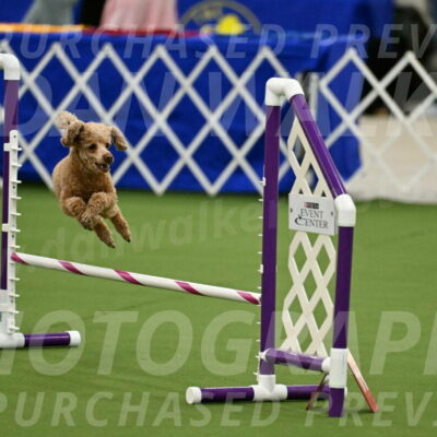 MAS-EX-JWW-12-Inch_1004