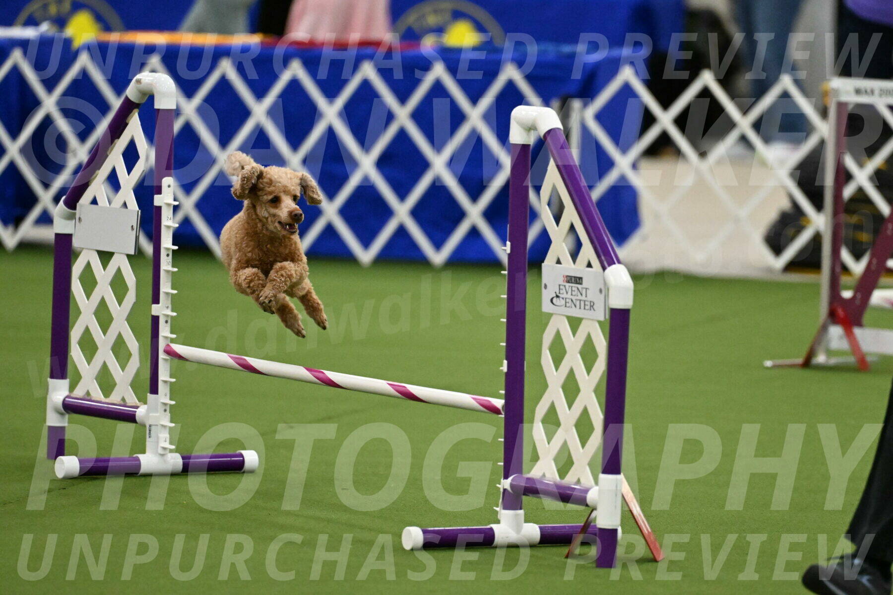 MAS-EX-JWW-12-Inch_1004