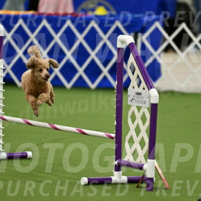 MAS-EX-JWW-12-Inch_1005