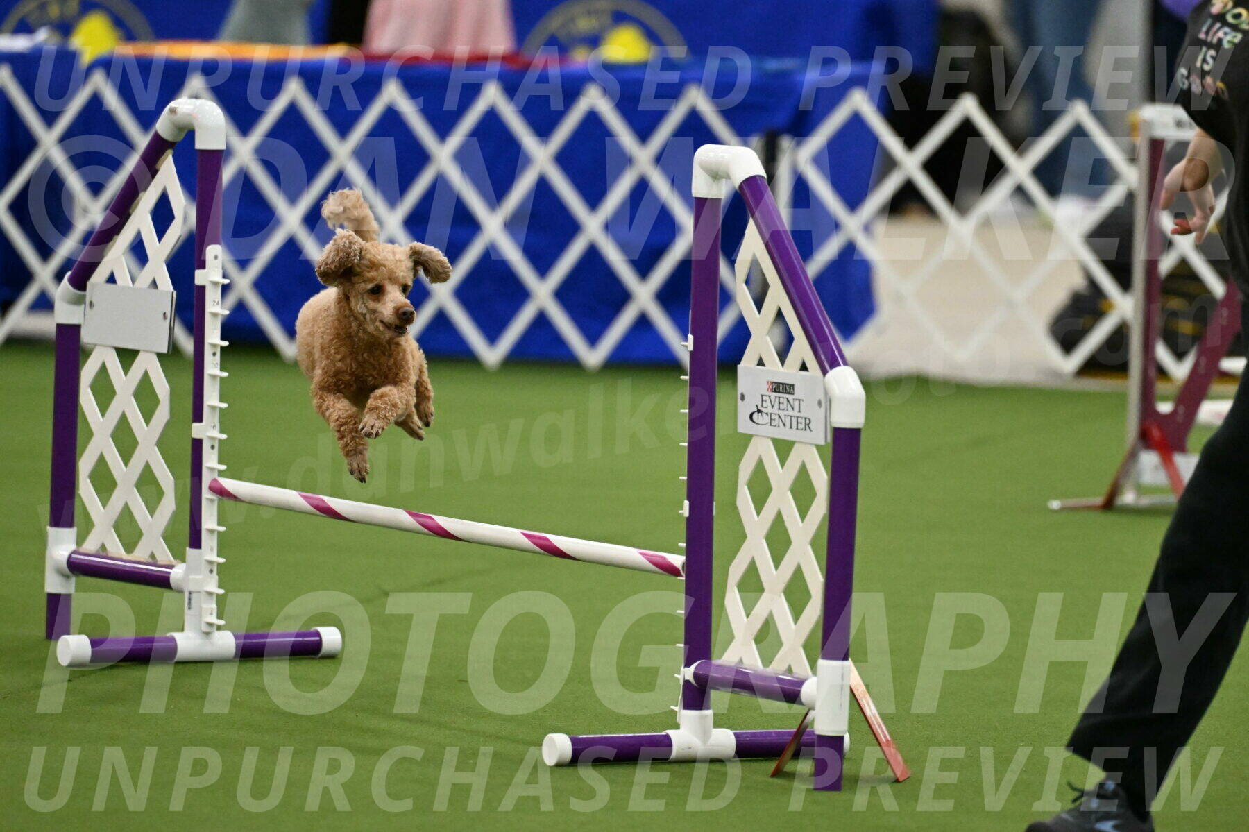 MAS-EX-JWW-12-Inch_1005