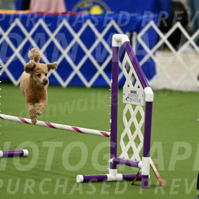 MAS-EX-JWW-12-Inch_1006