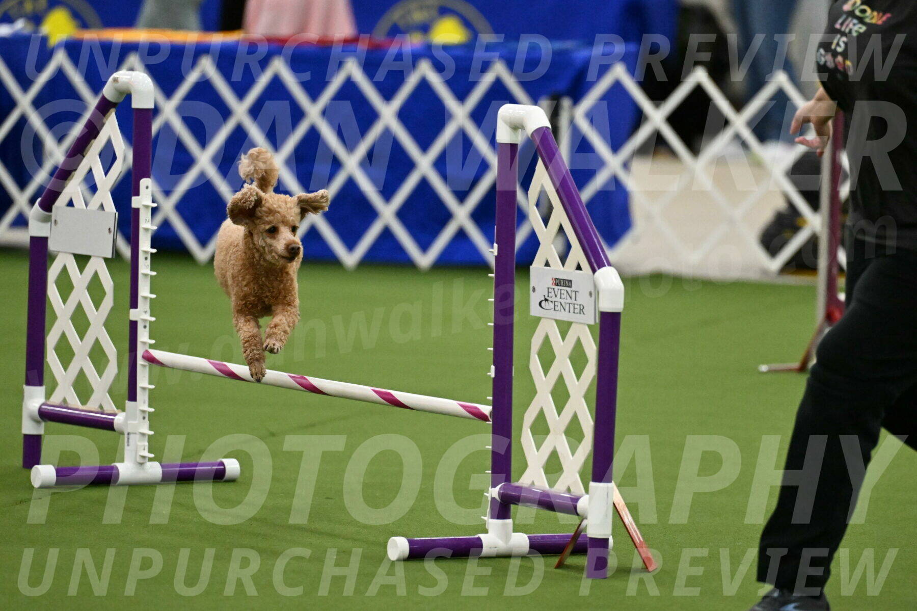 MAS-EX-JWW-12-Inch_1006