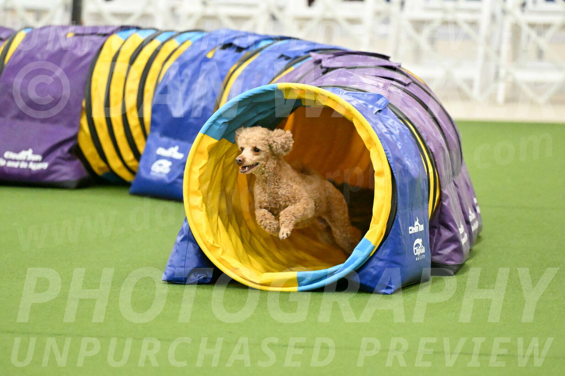 MAS-EX-JWW-12-Inch_1011