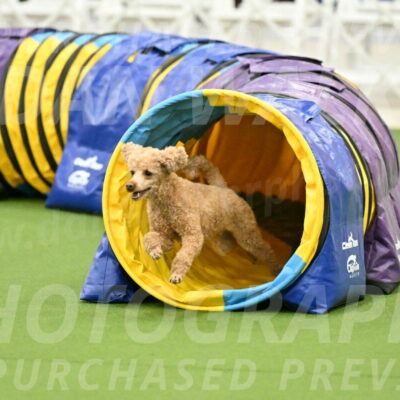 MAS-EX-JWW-12-Inch_1012