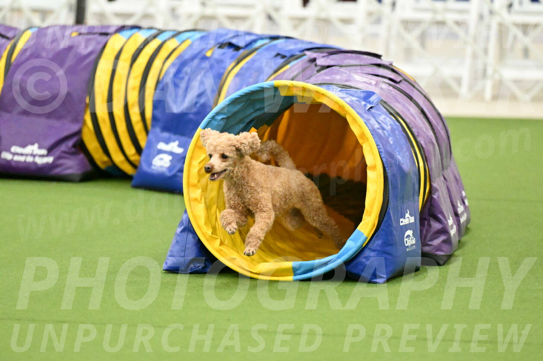 MAS-EX-JWW-12-Inch_1012