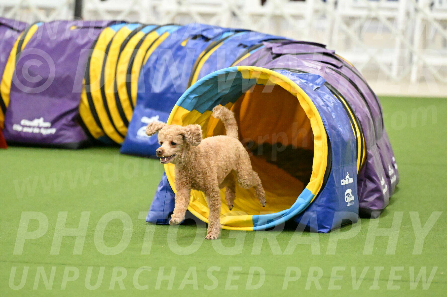 MAS-EX-JWW-12-Inch_1013