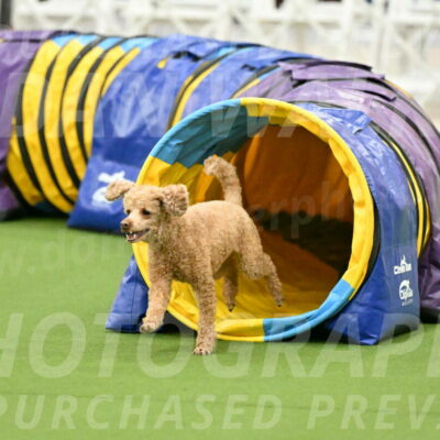 MAS-EX-JWW-12-Inch_1013