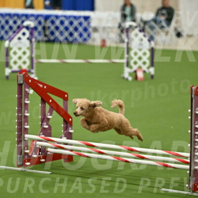 MAS-EX-JWW-12-Inch_1022