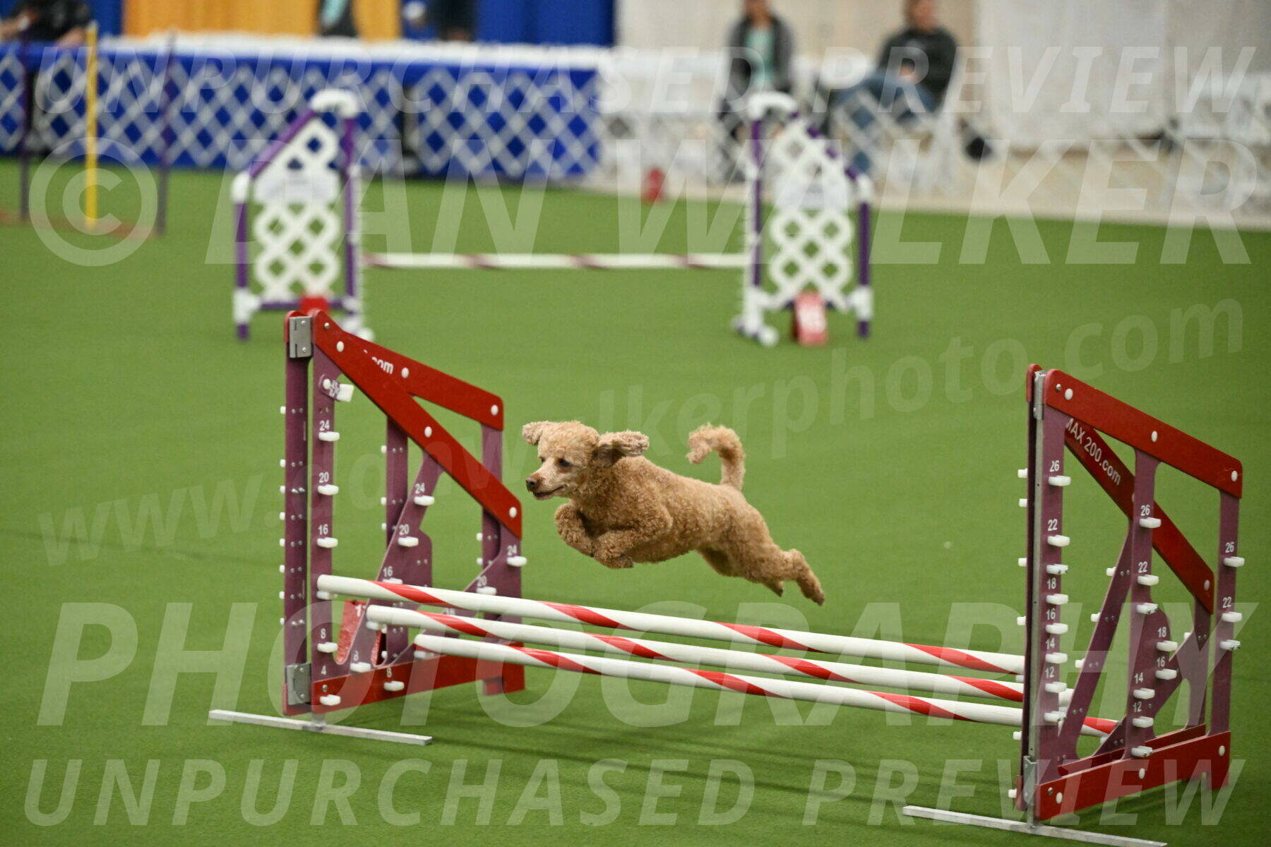 MAS-EX-JWW-12-Inch_1022