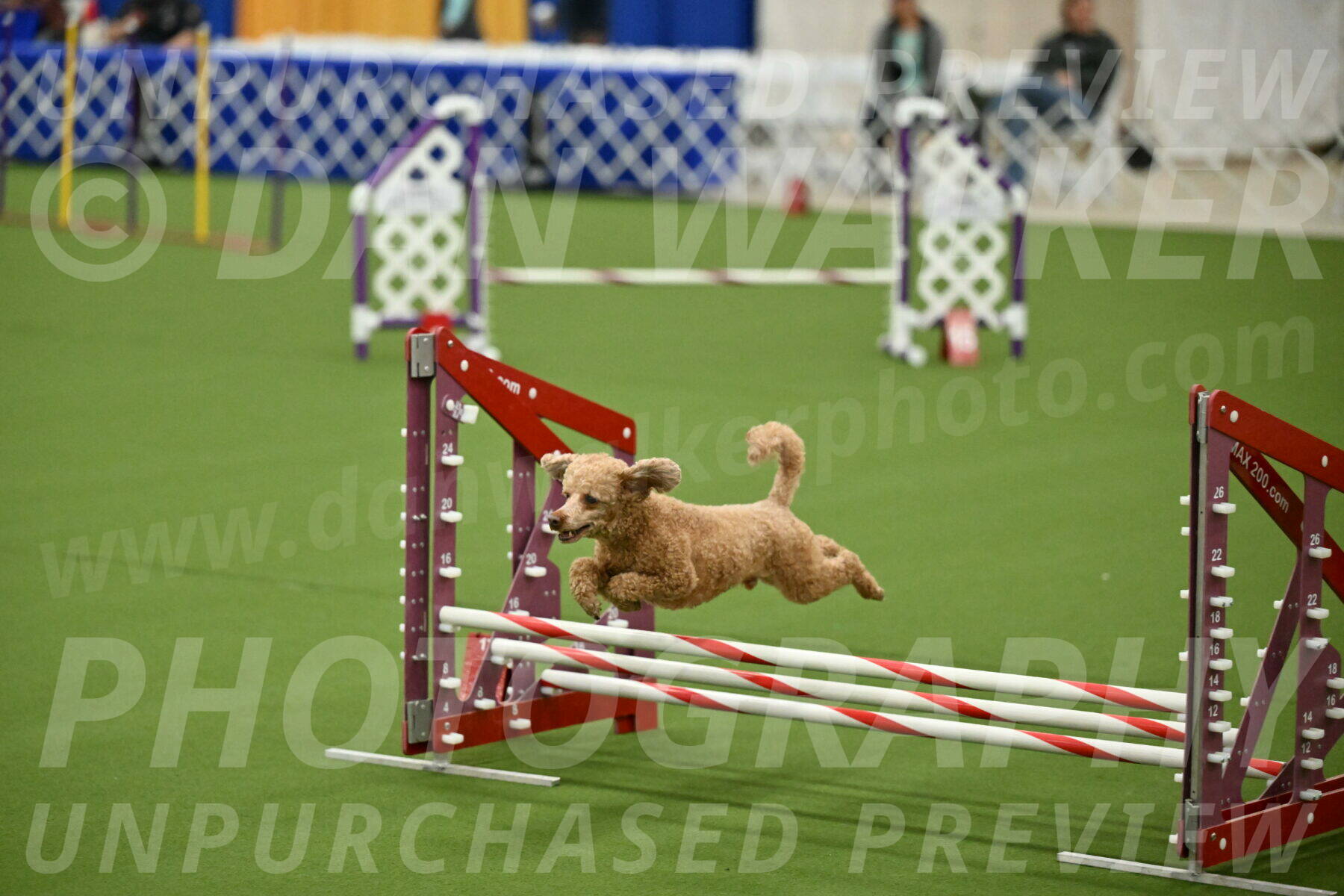 MAS-EX-JWW-12-Inch_1023