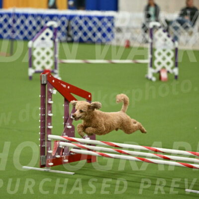 MAS-EX-JWW-12-Inch_1023