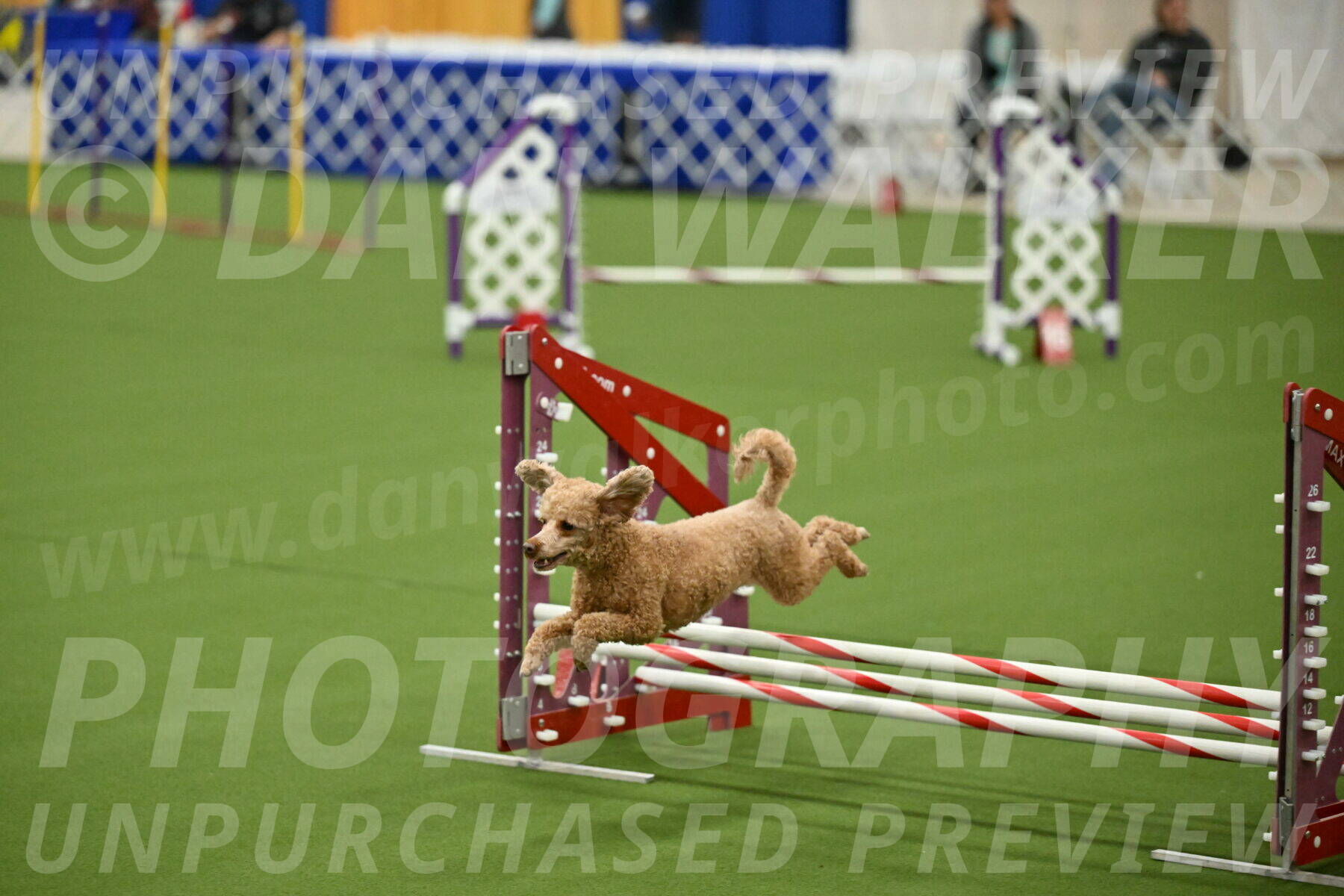 MAS-EX-JWW-12-Inch_1024