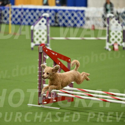 MAS-EX-JWW-12-Inch_1024