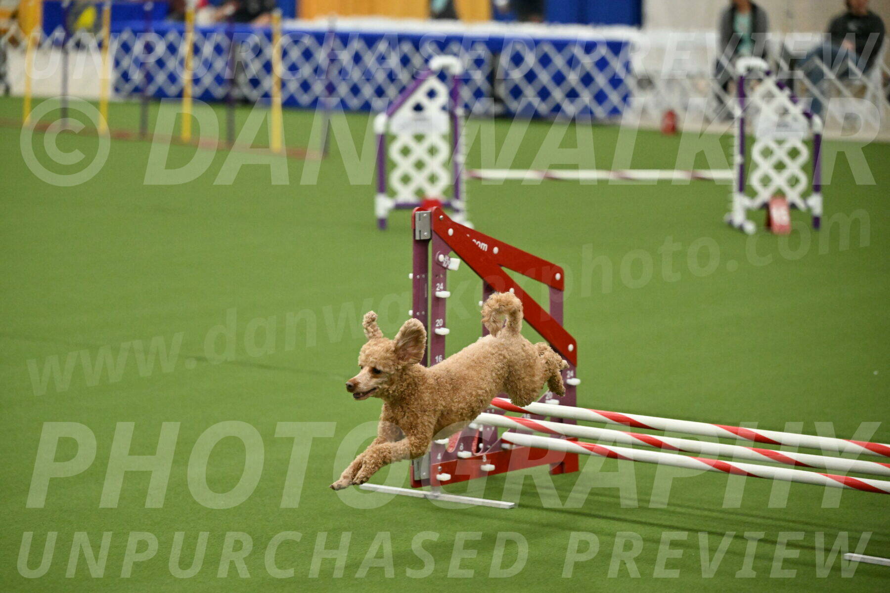 MAS-EX-JWW-12-Inch_1025