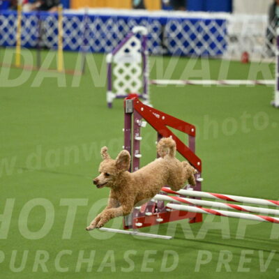 MAS-EX-JWW-12-Inch_1025