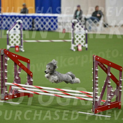 MAS-EX-JWW-12-Inch_1038