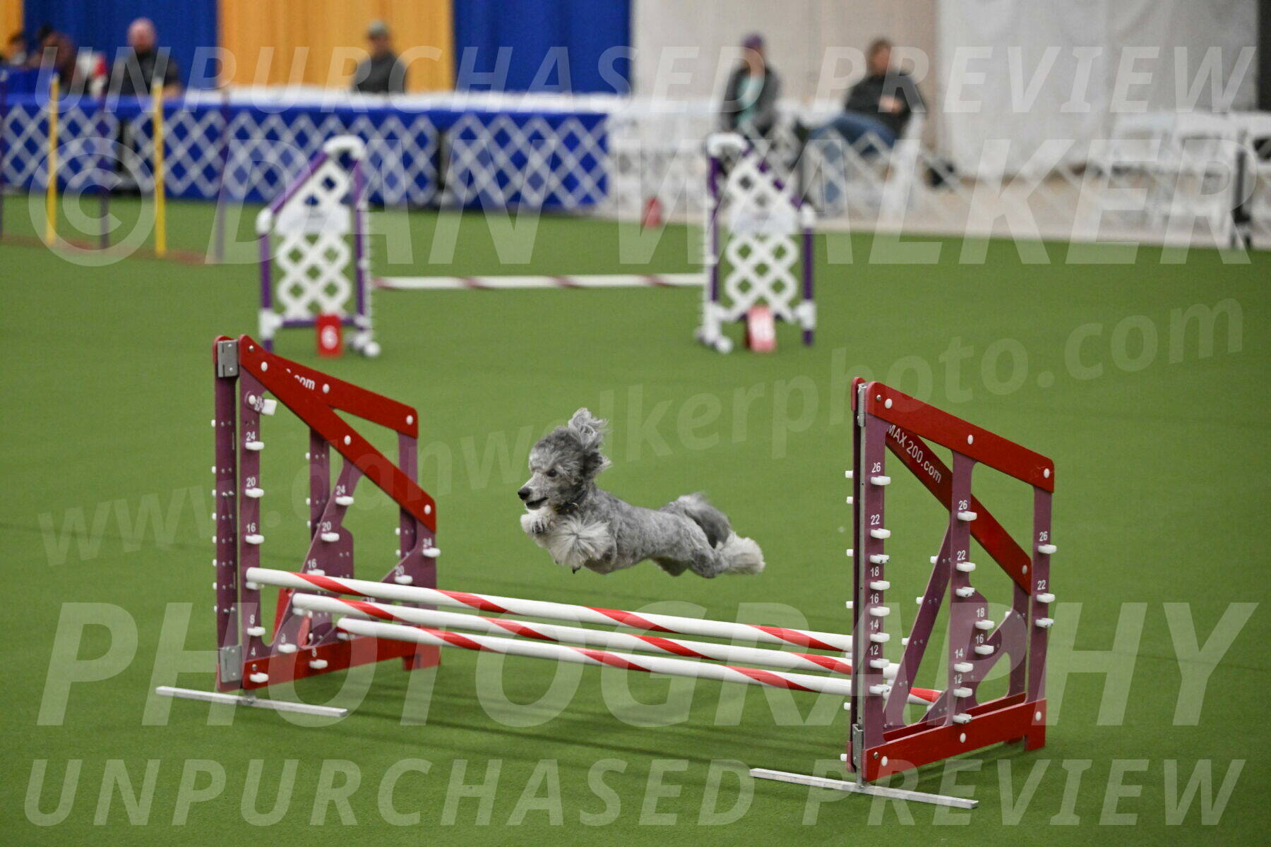 MAS-EX-JWW-12-Inch_1038