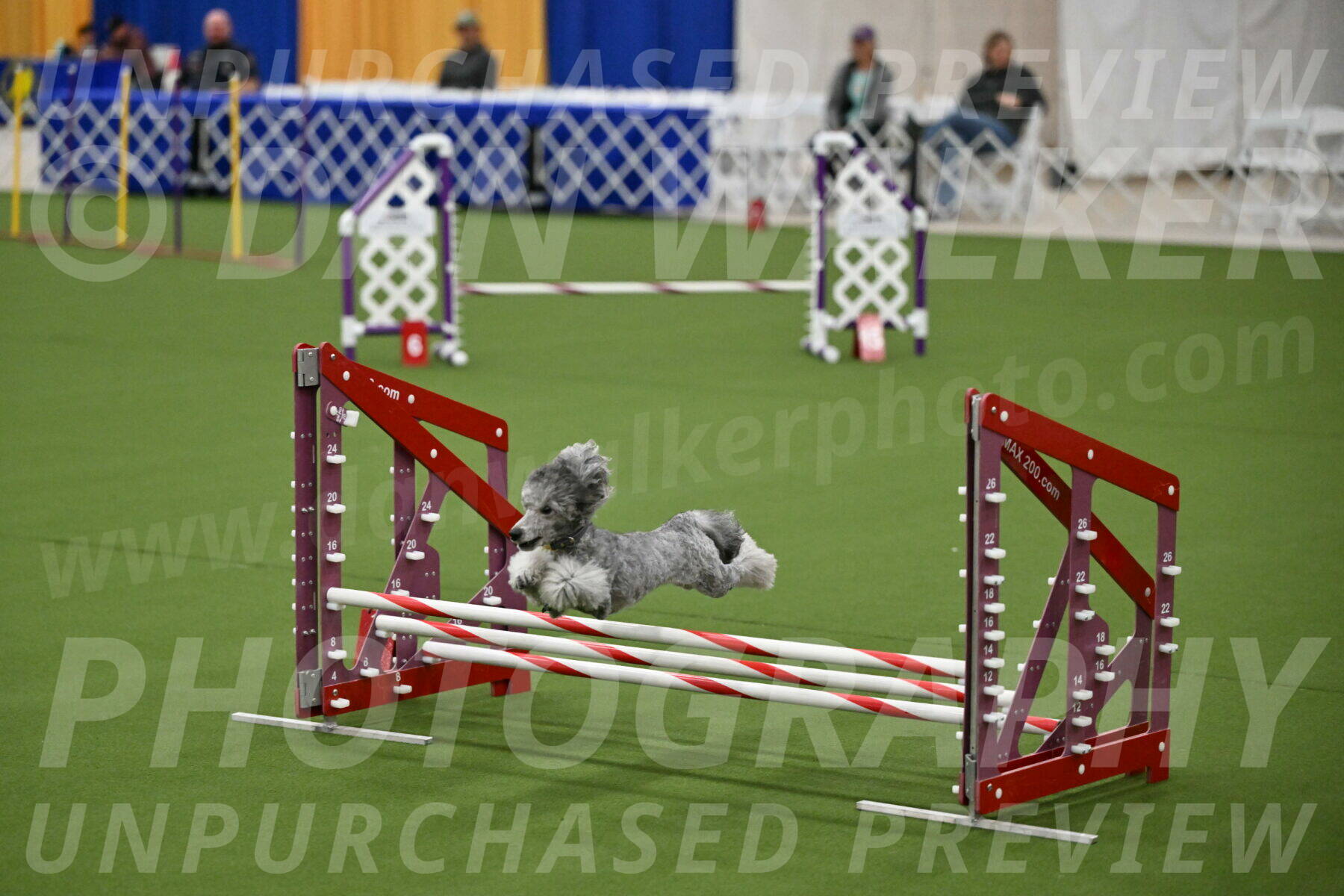 MAS-EX-JWW-12-Inch_1039