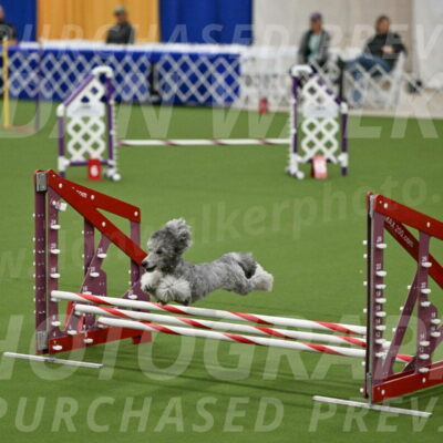 MAS-EX-JWW-12-Inch_1039