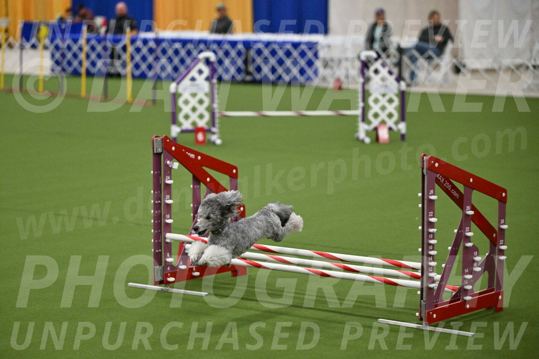 MAS-EX-JWW-12-Inch_1040