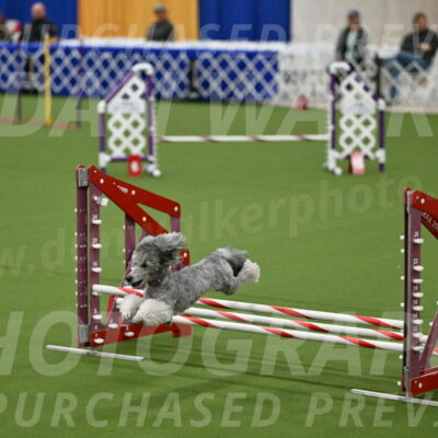 MAS-EX-JWW-12-Inch_1040