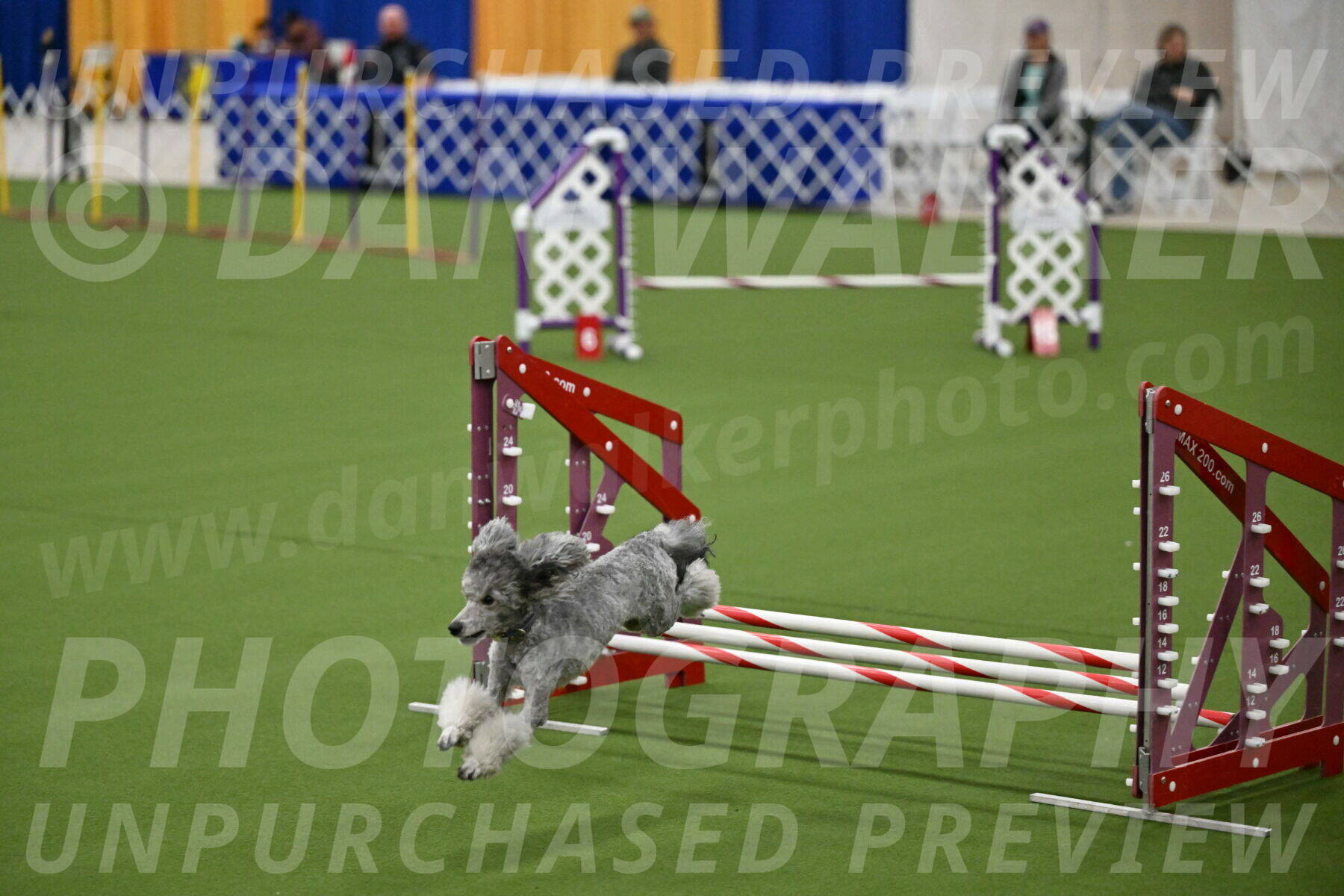 MAS-EX-JWW-12-Inch_1041