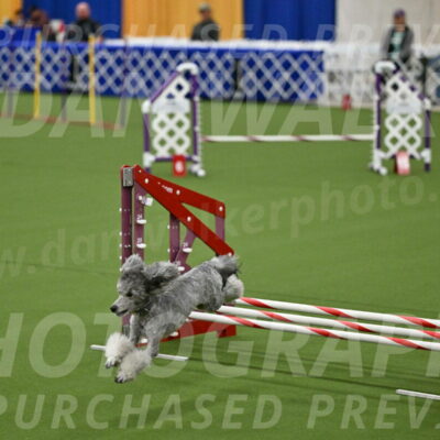 MAS-EX-JWW-12-Inch_1041