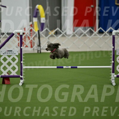 MAS-EX-JWW-12-Inch_1049