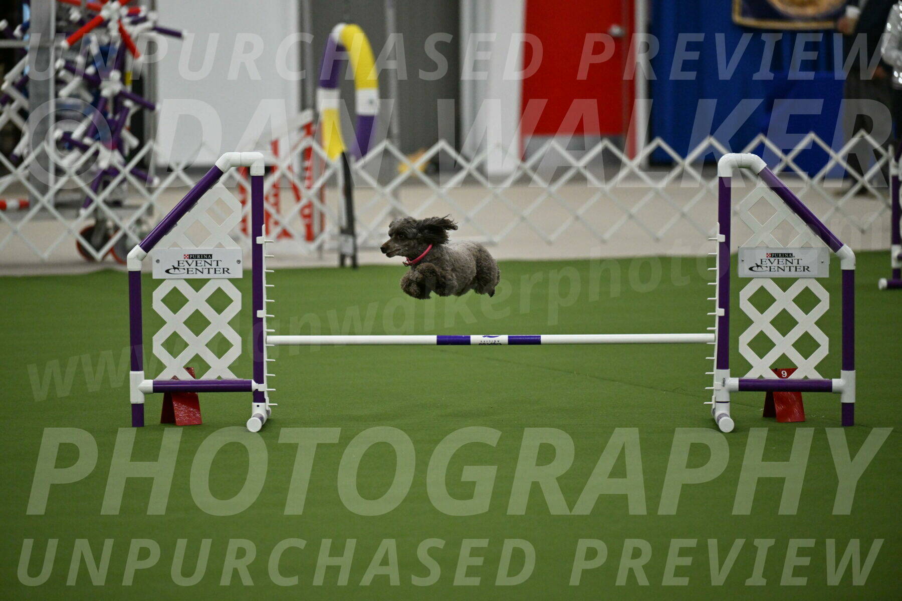 MAS-EX-JWW-12-Inch_1049