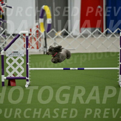 MAS-EX-JWW-12-Inch_1050