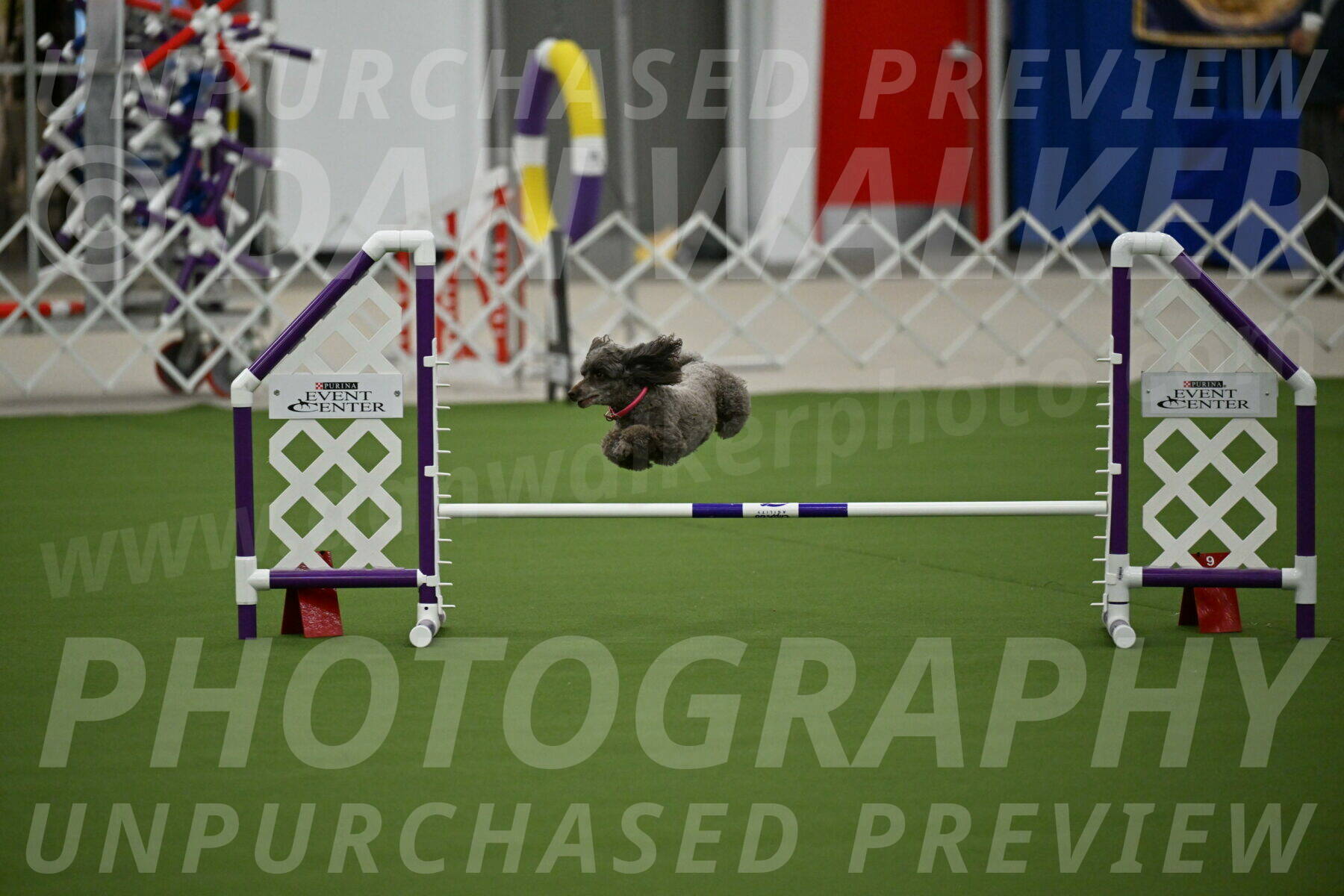 MAS-EX-JWW-12-Inch_1050