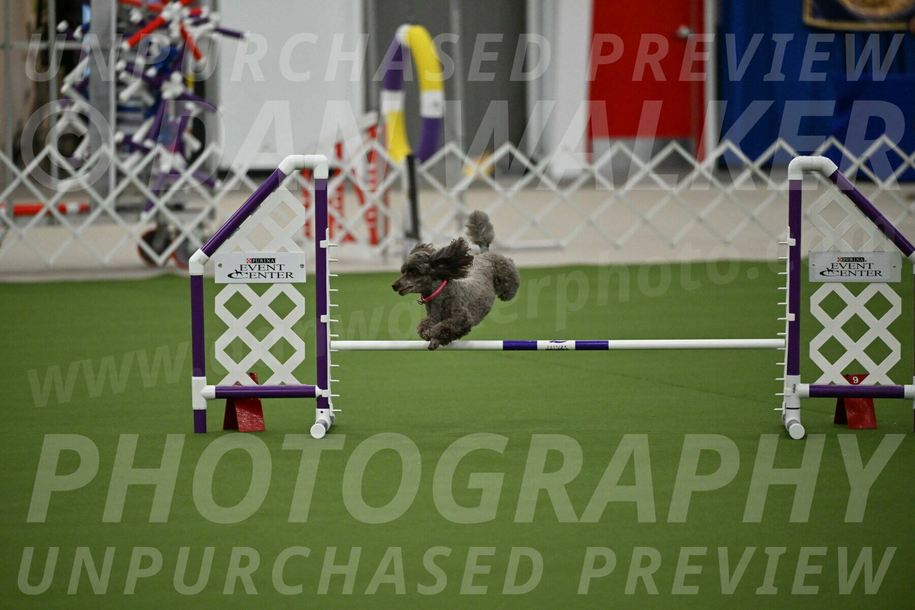 MAS-EX-JWW-12-Inch_1051