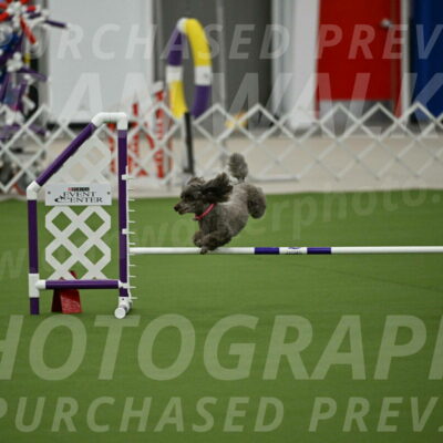 MAS-EX-JWW-12-Inch_1051