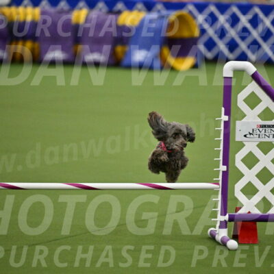 MAS-EX-JWW-12-Inch_1059