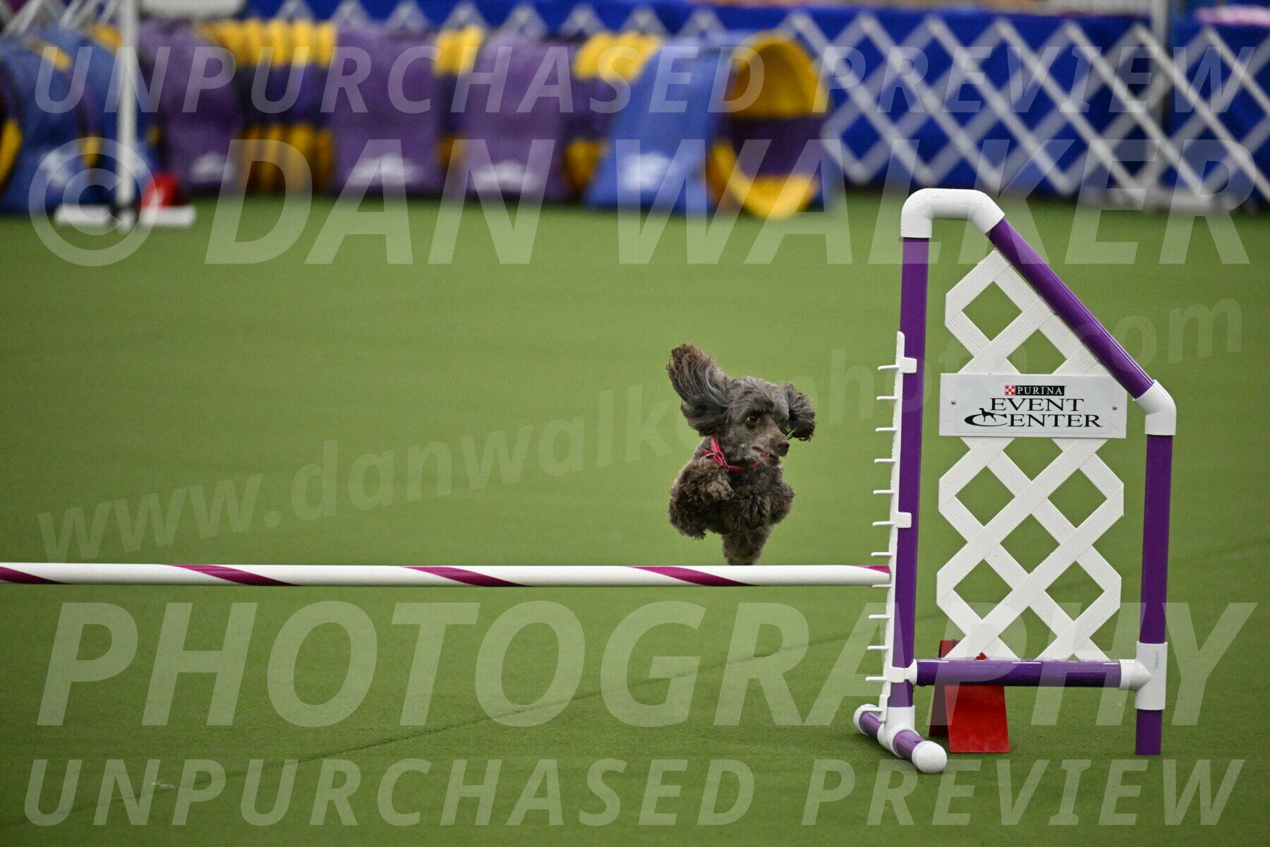 MAS-EX-JWW-12-Inch_1059