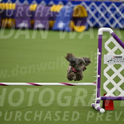 MAS-EX-JWW-12-Inch_1060