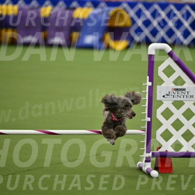 MAS-EX-JWW-12-Inch_1061