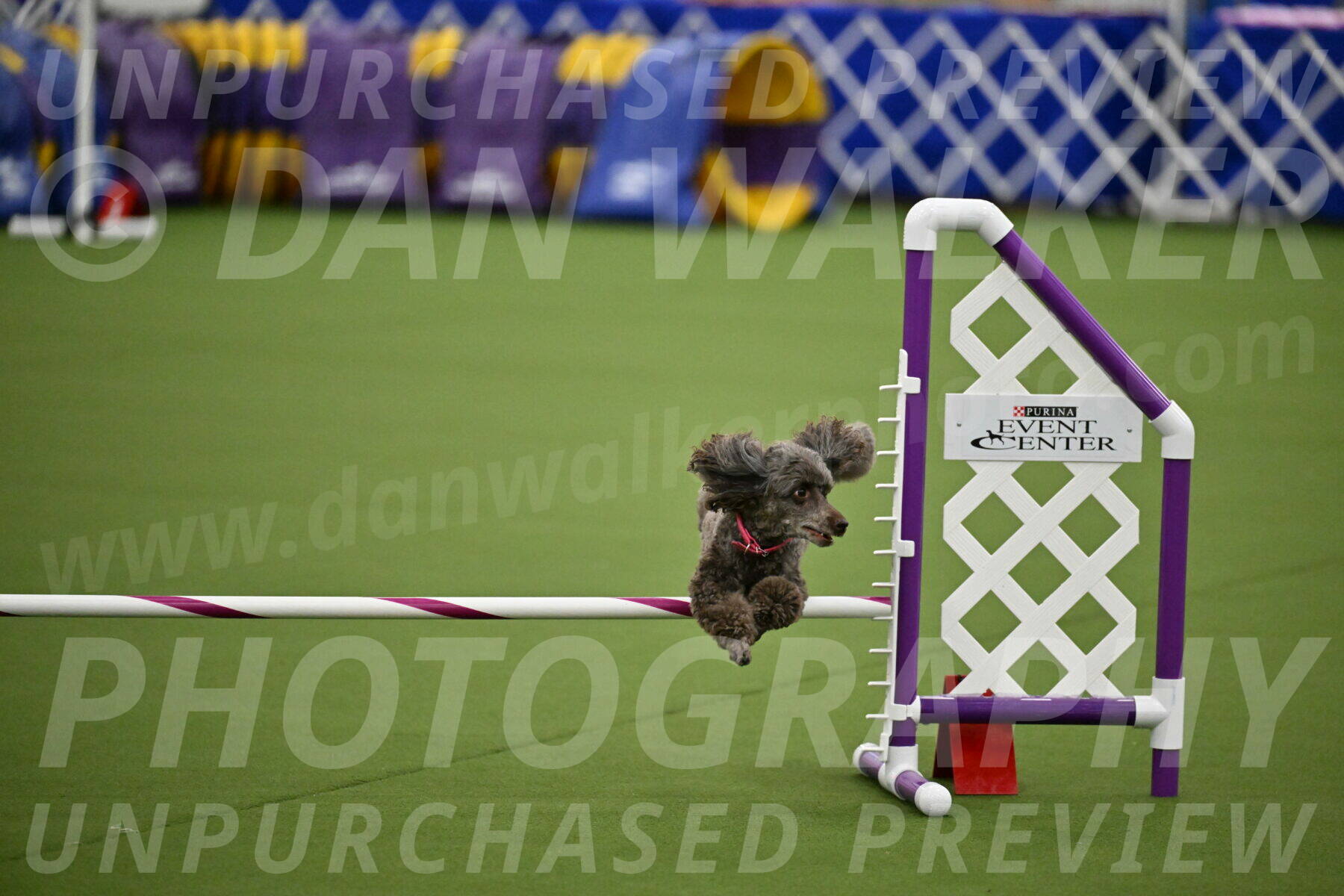 MAS-EX-JWW-12-Inch_1061