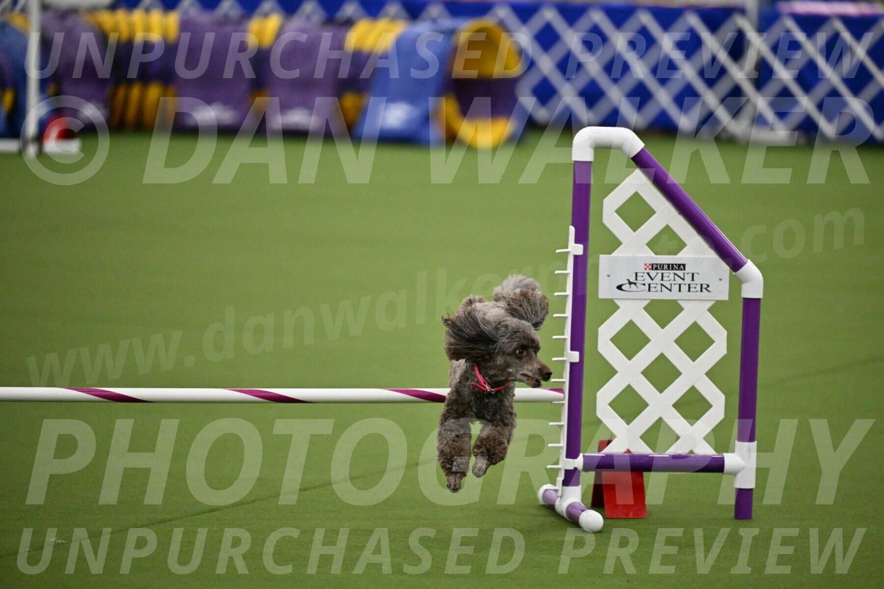 MAS-EX-JWW-12-Inch_1062