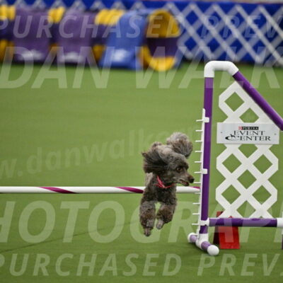 MAS-EX-JWW-12-Inch_1062