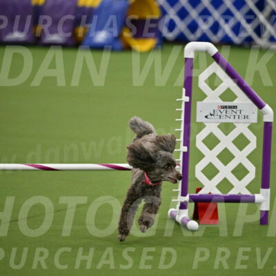 MAS-EX-JWW-12-Inch_1063