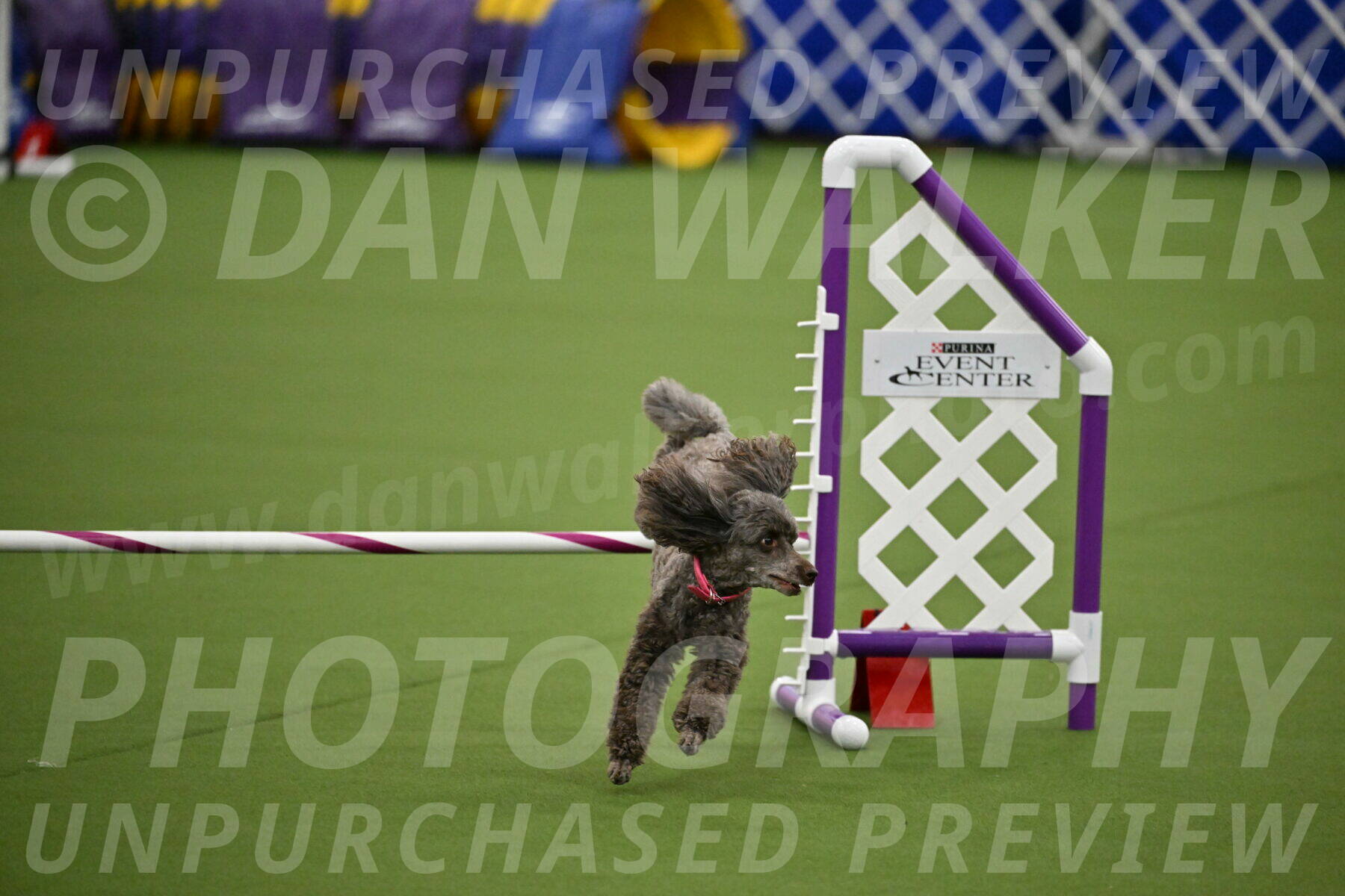 MAS-EX-JWW-12-Inch_1063