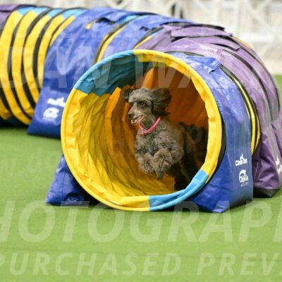 MAS-EX-JWW-12-Inch_1067