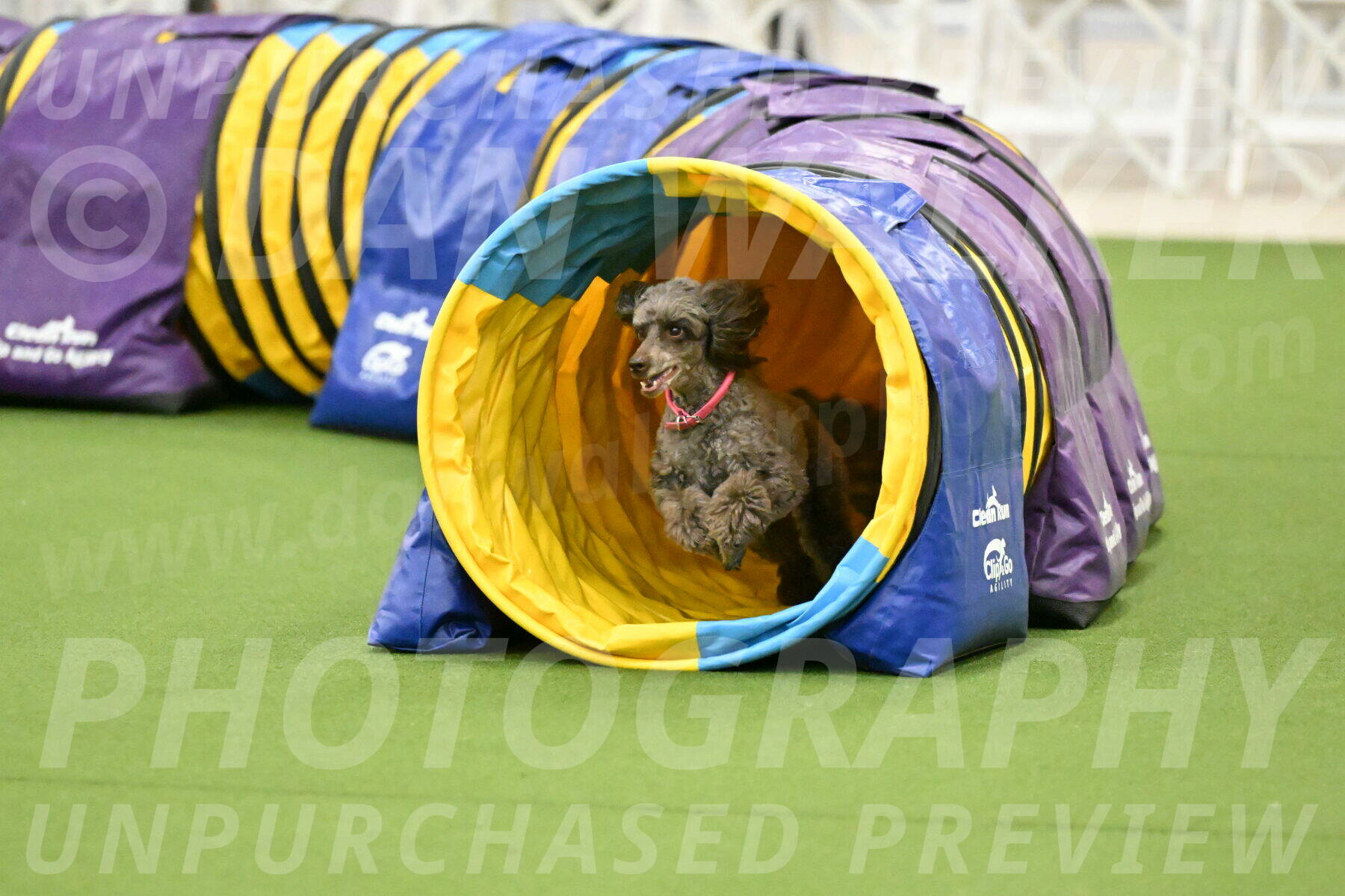 MAS-EX-JWW-12-Inch_1067