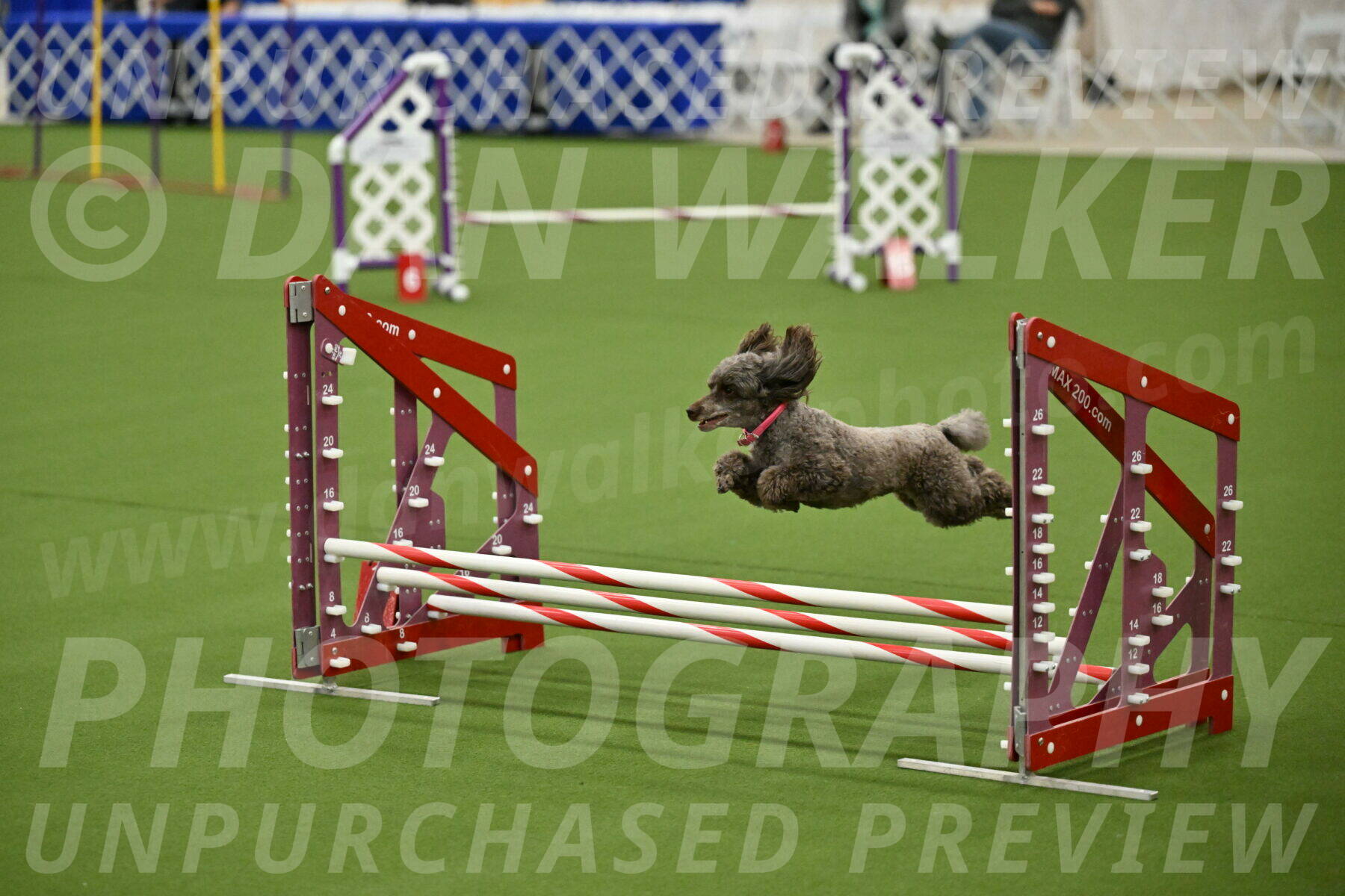 MAS-EX-JWW-12-Inch_1079