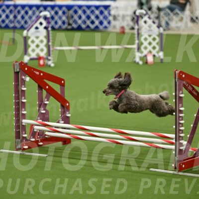 MAS-EX-JWW-12-Inch_1079