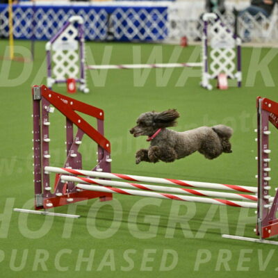 MAS-EX-JWW-12-Inch_1080