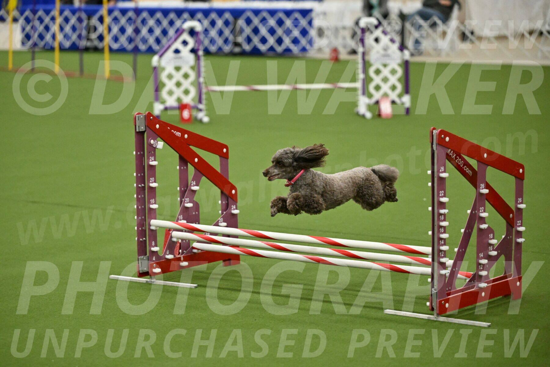 MAS-EX-JWW-12-Inch_1080